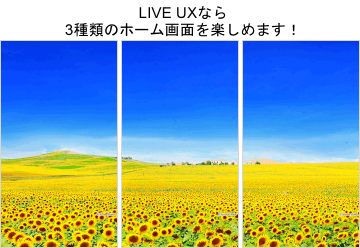 Sunflower Liveux詳細ページ 堀田東 Cmn Detail Lux Set