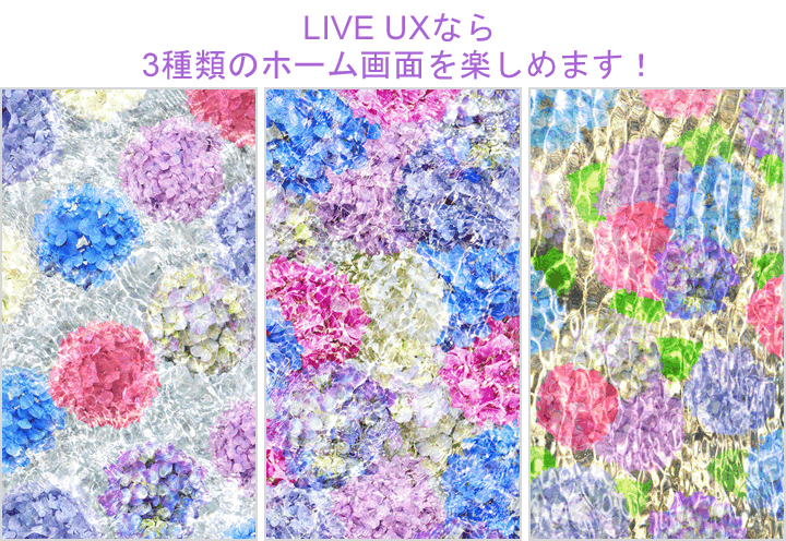 水ノ器 Hydrangea Liveux詳細ページ Marianne Cmn Detail Lux Set