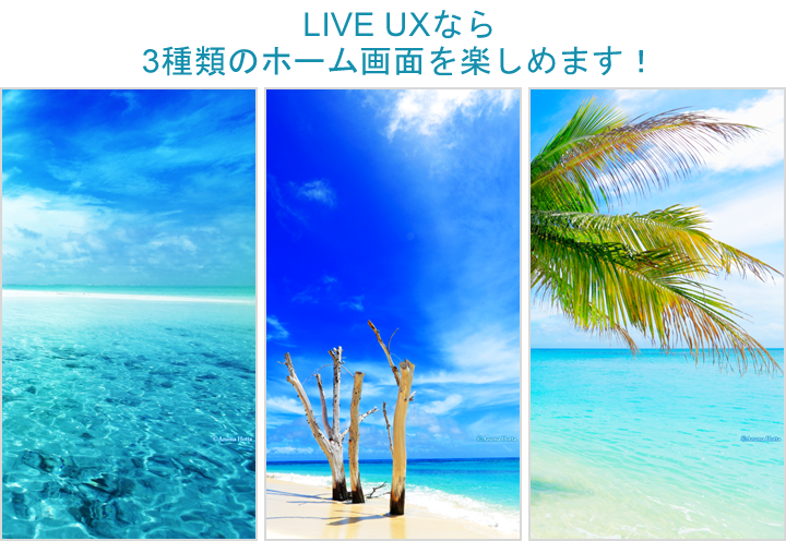 Summer Ocean Liveux詳細ページ 堀田東 Cmn Detail Lux Set