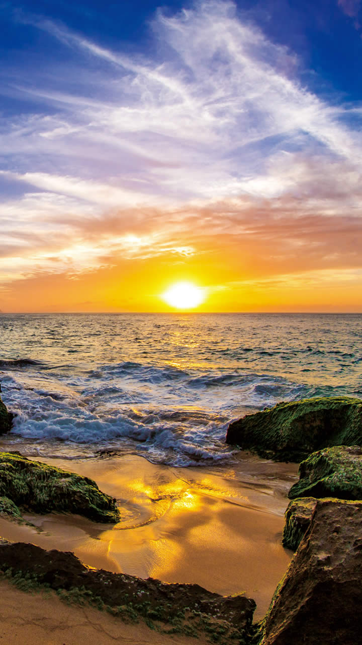 バランスのとれた ジャングル テレビ局 ホーム 画面 海 Kajidaiko Jp