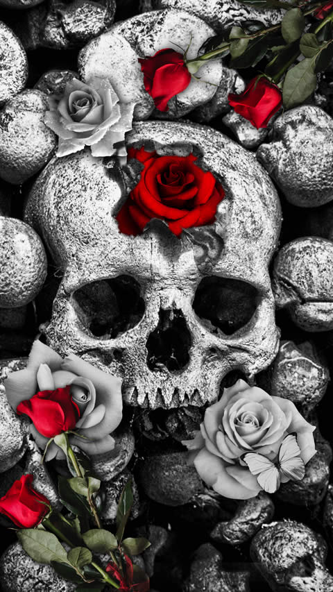 Skull Rose Liveux詳細ページ Cherryhills Cmn Detail Lux Set V02 Skull Rose Liveux詳細ページ Cherryhills Cmn Detail Lux Set V02